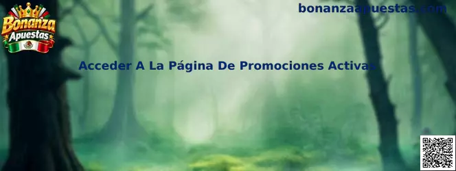 Acceder A La Página De Promociones Activas