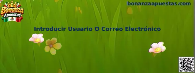 Guía para introducir usuario o correo electrónico al iniciar sesión