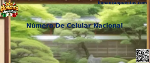Guía para registrar y verificar un Número De Celular Nacional en Bonanza Apuestas