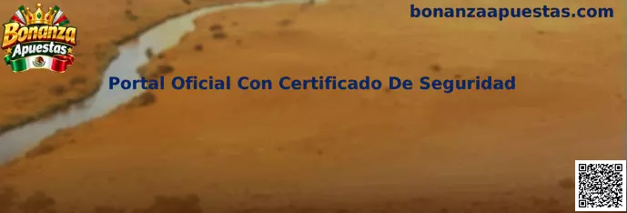 Comprobación de seguridad para identificar un portal oficial de Bonanza Apuestas